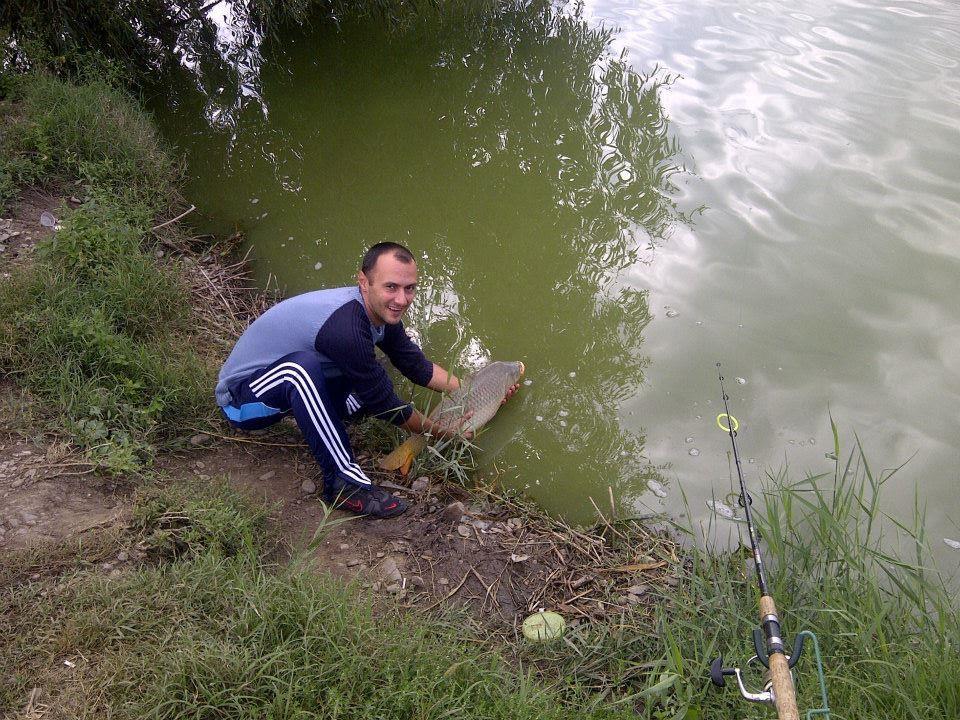 2013 - 9949096580507908869421419357375n.jpg